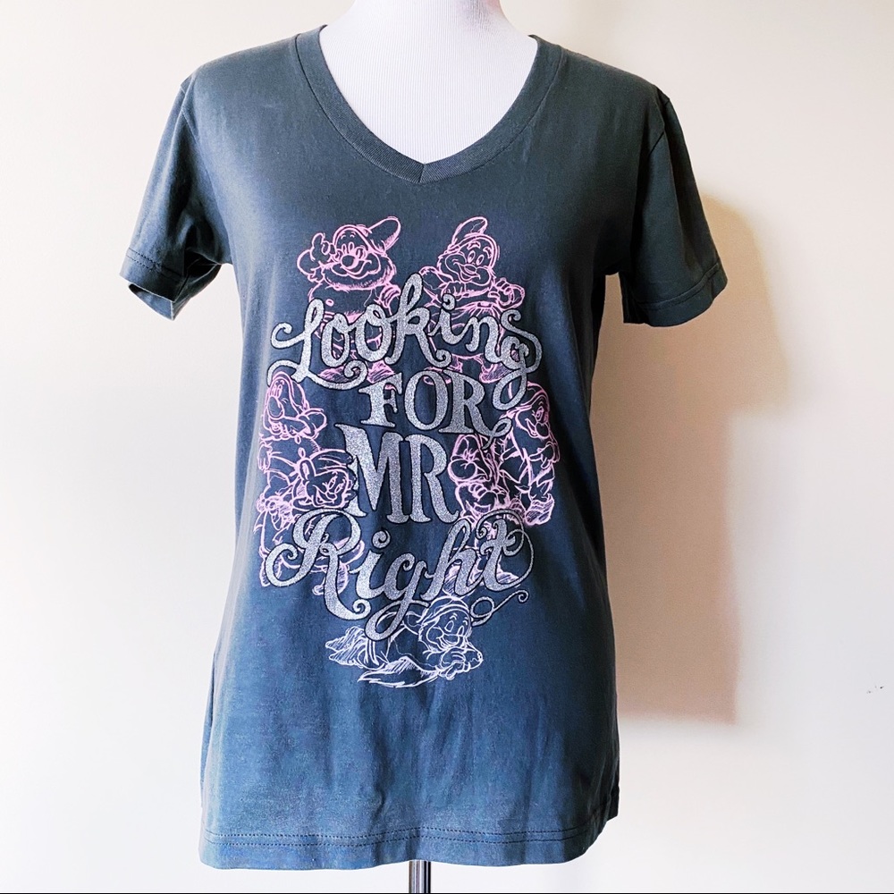 Disney Snow White and the Seven Dwarfs Shirt Womens Medium Top Glitter Gray Pink
